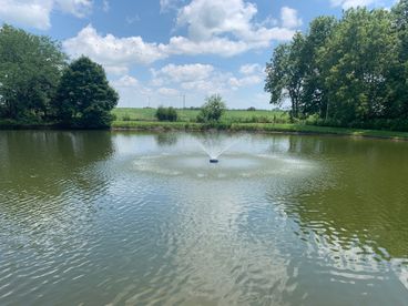 Pond with fountain